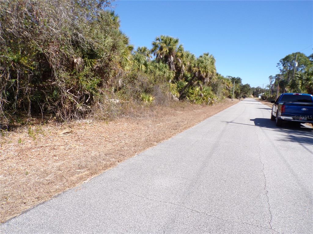 A paved road runs alongside a vacant, wooded lot with dense vegetation and palm trees — LAS ALMANOS AVENUE, NORTH PORT, FL