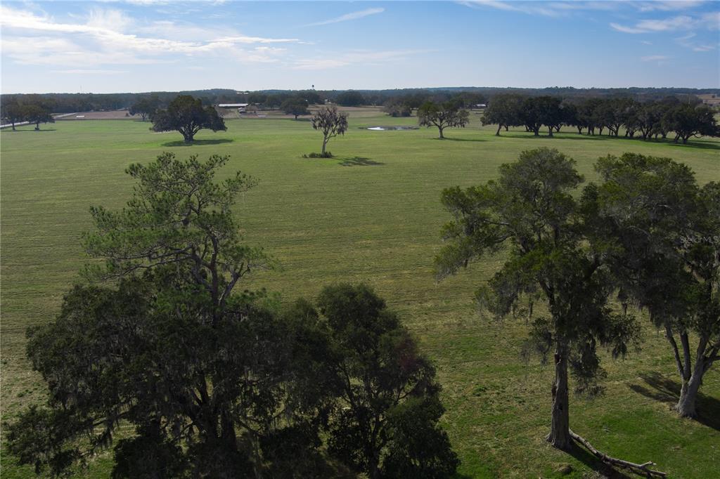 TBD NW GAINESVILLE ROAD, REDDICK, FL — photo 3 of 9