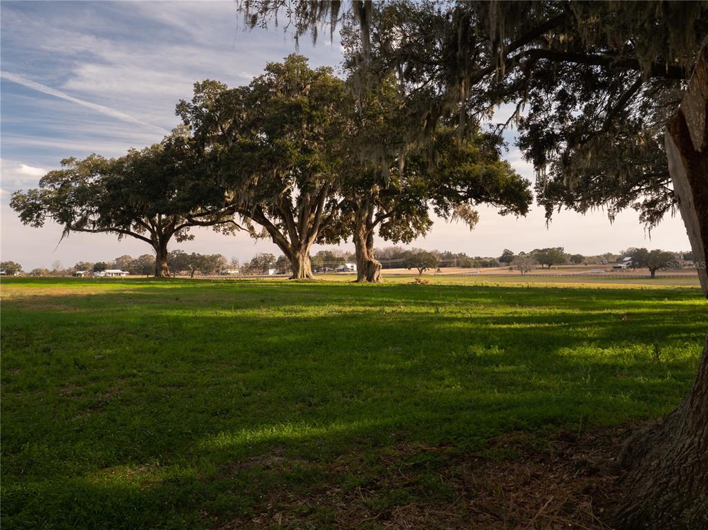 TBD NW GAINESVILLE ROAD, REDDICK, FL — photo 5 of 9