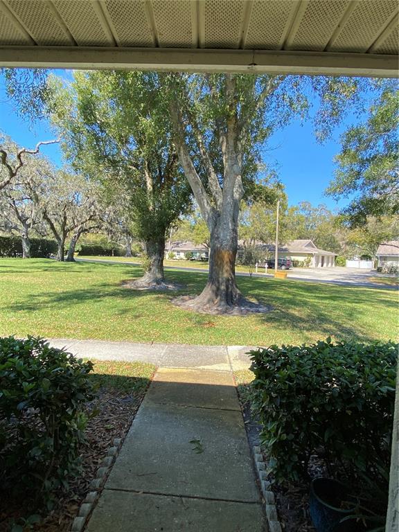 A view from a covered porch looking out toward a grassy lawn and large trees — 1059 DUNROBIN DRIVE UNIT B, PALM HARBOR, FL