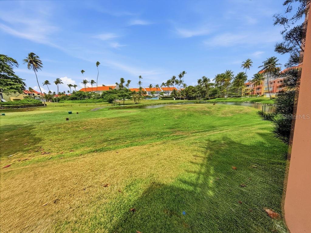 A grassy lawn leads to a pond with palm trees and buildings in the background — 170 Candelero Dr. PALMAS DEL MAR, LAS PALMAS DORADAS UNIT 501, HUMACAO, PR