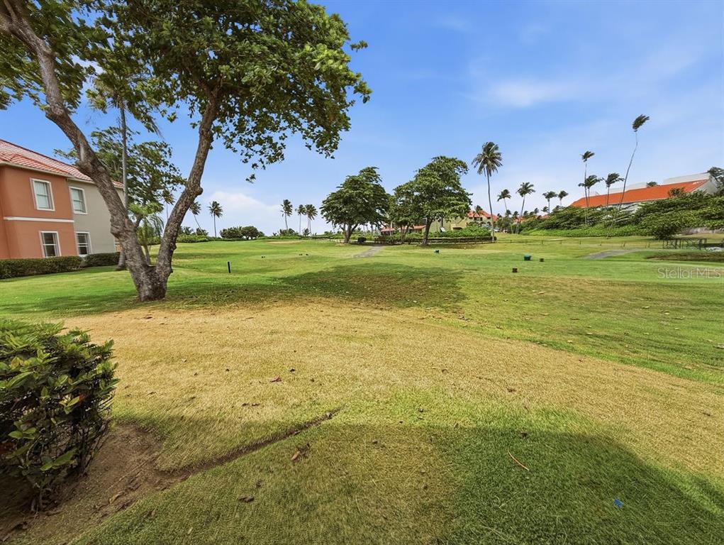 A grassy lawn with trees and palm trees extends toward distant buildings under a blue sky — 170 Candelero Dr. PALMAS DEL MAR, LAS PALMAS DORADAS UNIT 501, HUMACAO, PR