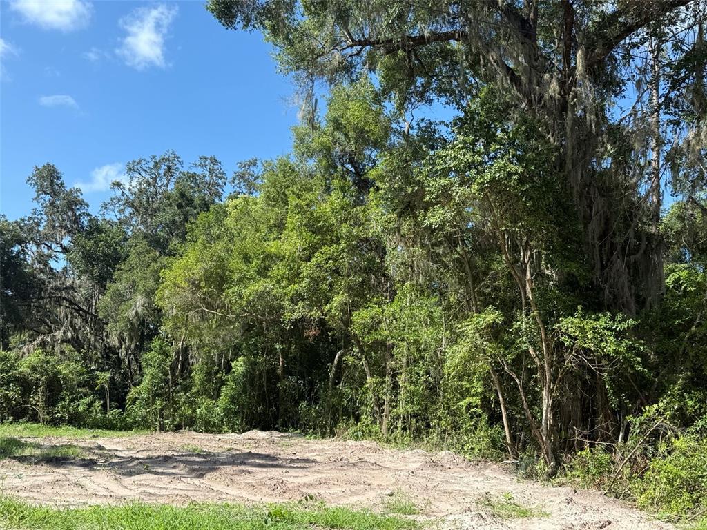 115 RODDY LANE, PALATKA, FL — photo 2 of 5