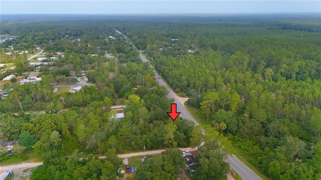 An aerial view shows a wooded lot located at a rural road intersection — COUNTY ROAD 42, PAISLEY, FL