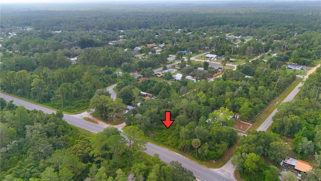 An aerial view shows a wooded, undeveloped lot marked by a red arrow near roads — COUNTY ROAD 42, PAISLEY, FL