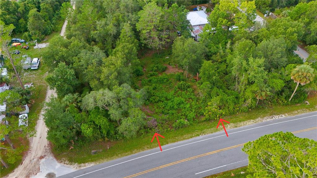 An aerial view of a wooded, undeveloped lot bordering a paved road — COUNTY ROAD 42, PAISLEY, FL