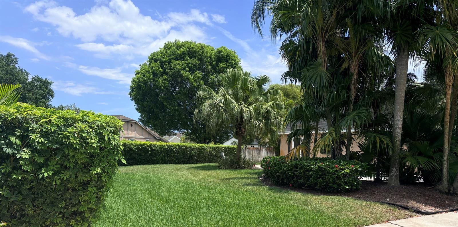 A grassy backyard features a manicured hedge, several palm trees, and a large shade tree — 15943 W Wind Circle, Sunrise FL 33326, SUNRISE, FL