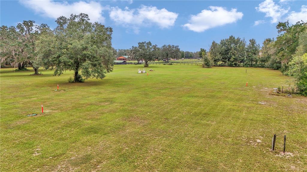 A large, grassy, open lot features scattered mature trees and several utility marking flags — 19597 SE 70TH LANE, MORRISTON, FL