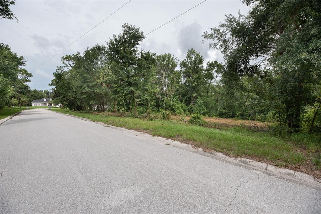 A paved road runs alongside a vacant, partially cleared lot with dense trees and vegetation — 0 LAKE HILLS DRIVE, RIVERVIEW, FL