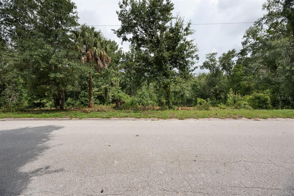 A view of a vacant, wooded lot from an asphalt street — 0 LAKE HILLS DRIVE, RIVERVIEW, FL