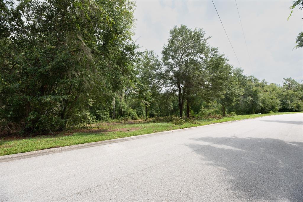 A paved road runs alongside a wooded, undeveloped residential lot with mature trees — 0 LAKE HILLS DRIVE, RIVERVIEW, FL