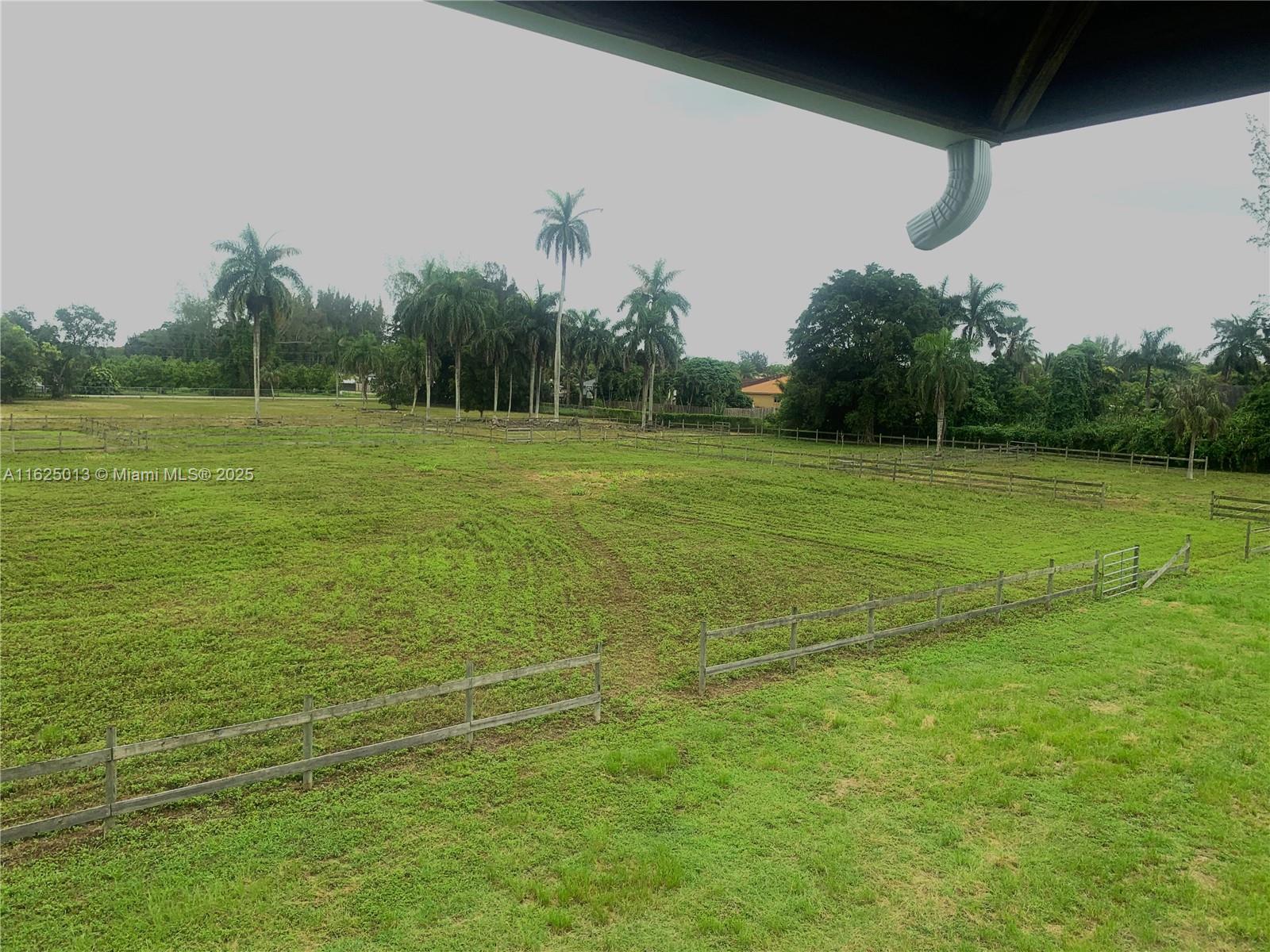 A fenced grassy field with palm trees is viewed from an elevated outdoor area — 22750 SW 154th ave, Miami FL 33170, MIAMI, FL