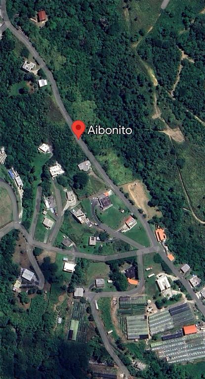 CARR. 723,2.3 INT., AIBONITO, PR — photo 2 of 9