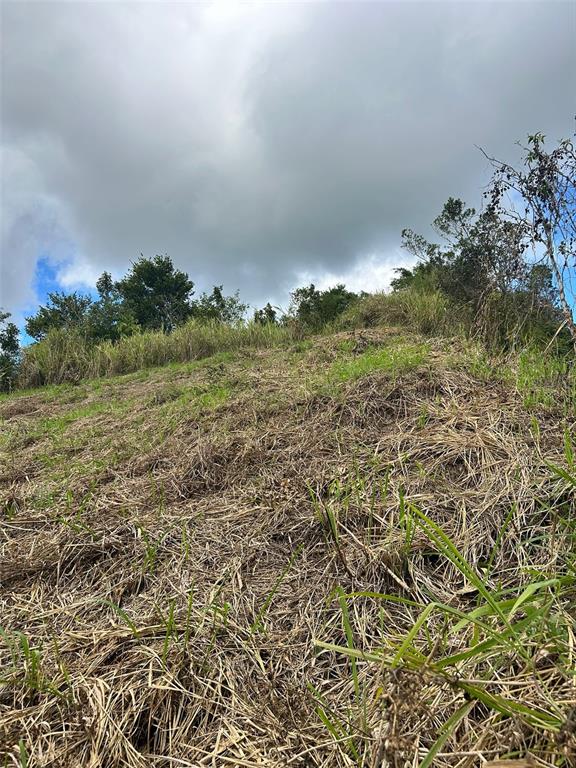 CARR. 723,2.3 INT., AIBONITO, PR — photo 4 of 9