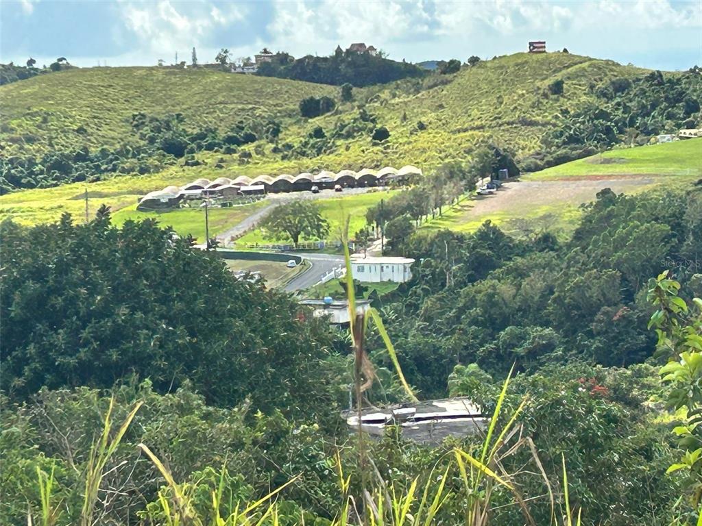 CARR. 723,2.3 INT., AIBONITO, PR — photo 5 of 9