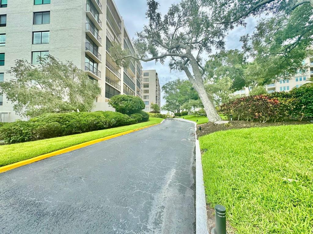 A paved driveway leads toward a multi-story apartment building surrounded by trees and landscaping — 220 BELLEVIEW BOULEVARD UNIT 311, CLEARWATER, FL