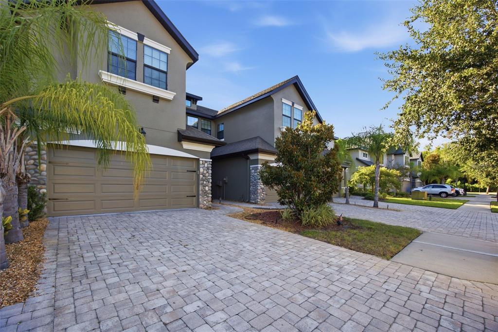 A two-story house with a paved driveway, a two-car garage, and palm trees — 4905 WANDERING WAY, WESLEY CHAPEL, FL