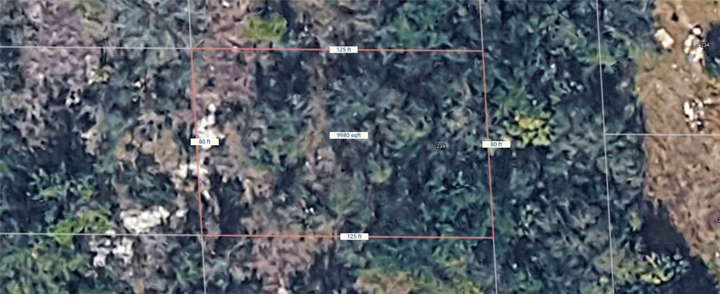 An aerial map view shows a rectangular plot of land measuring 125 feet by 80 feet — 239 SAWFISH LANE, PUNTA GORDA, FL