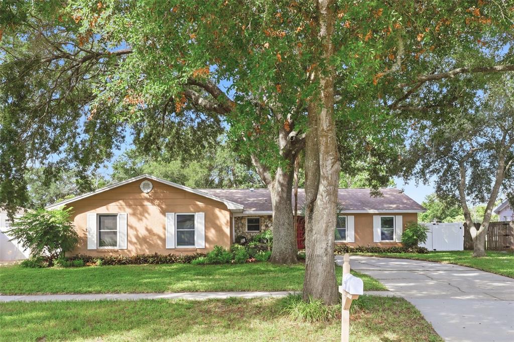 A single-story tan house with white shutters and a driveway sits behind a large tree — 8614 SANDBERRY BLVD, ORLANDO, FL