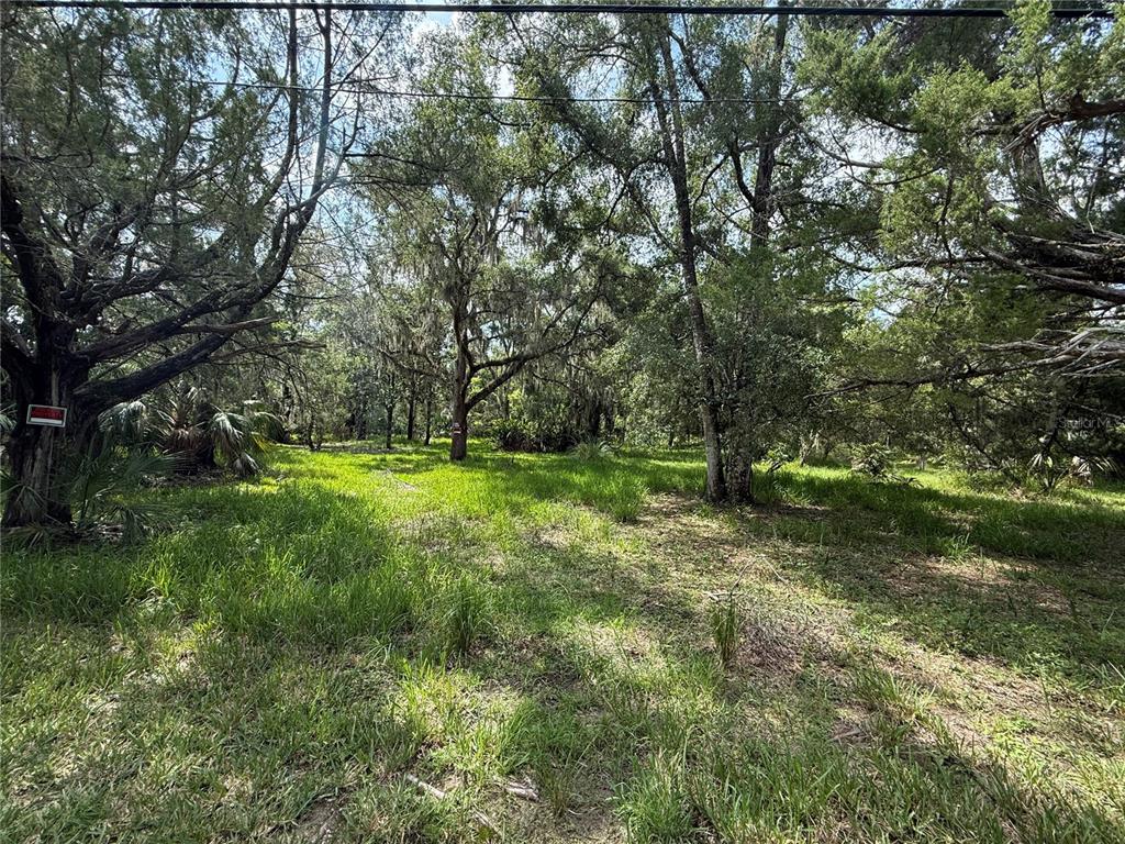 11990 W ELDRED LANE, HOMOSASSA, FL — photo 2 of 3