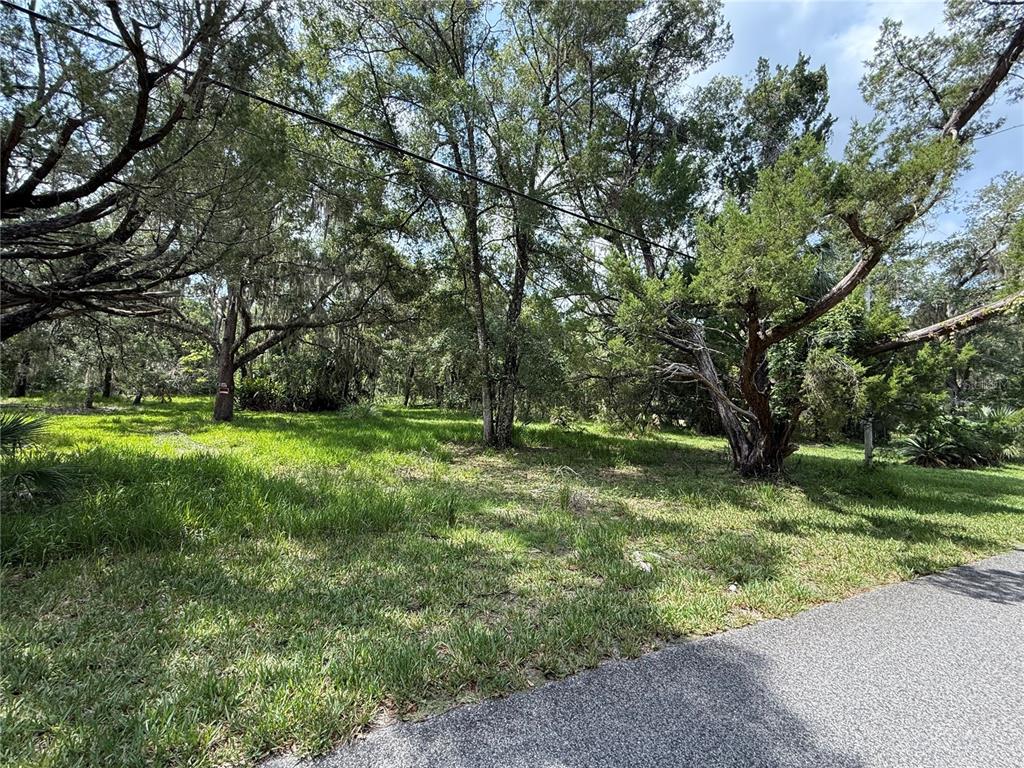 11990 W ELDRED LANE, HOMOSASSA, FL — photo 3 of 3