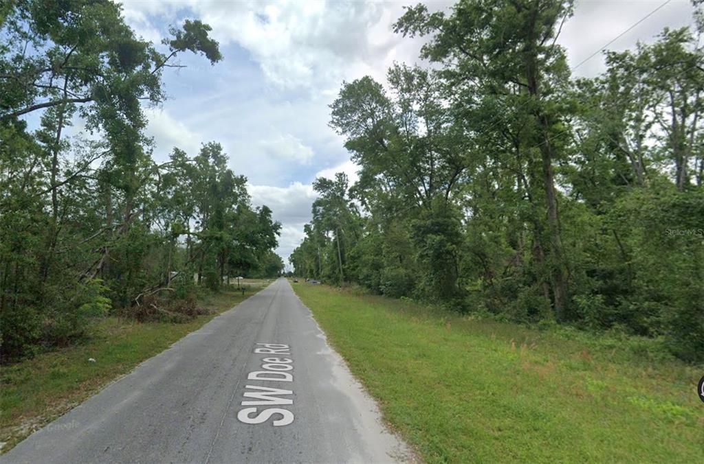 A paved road runs through a wooded area with trees on both sides — 00 SW DOE ROAD, MAYO, FL