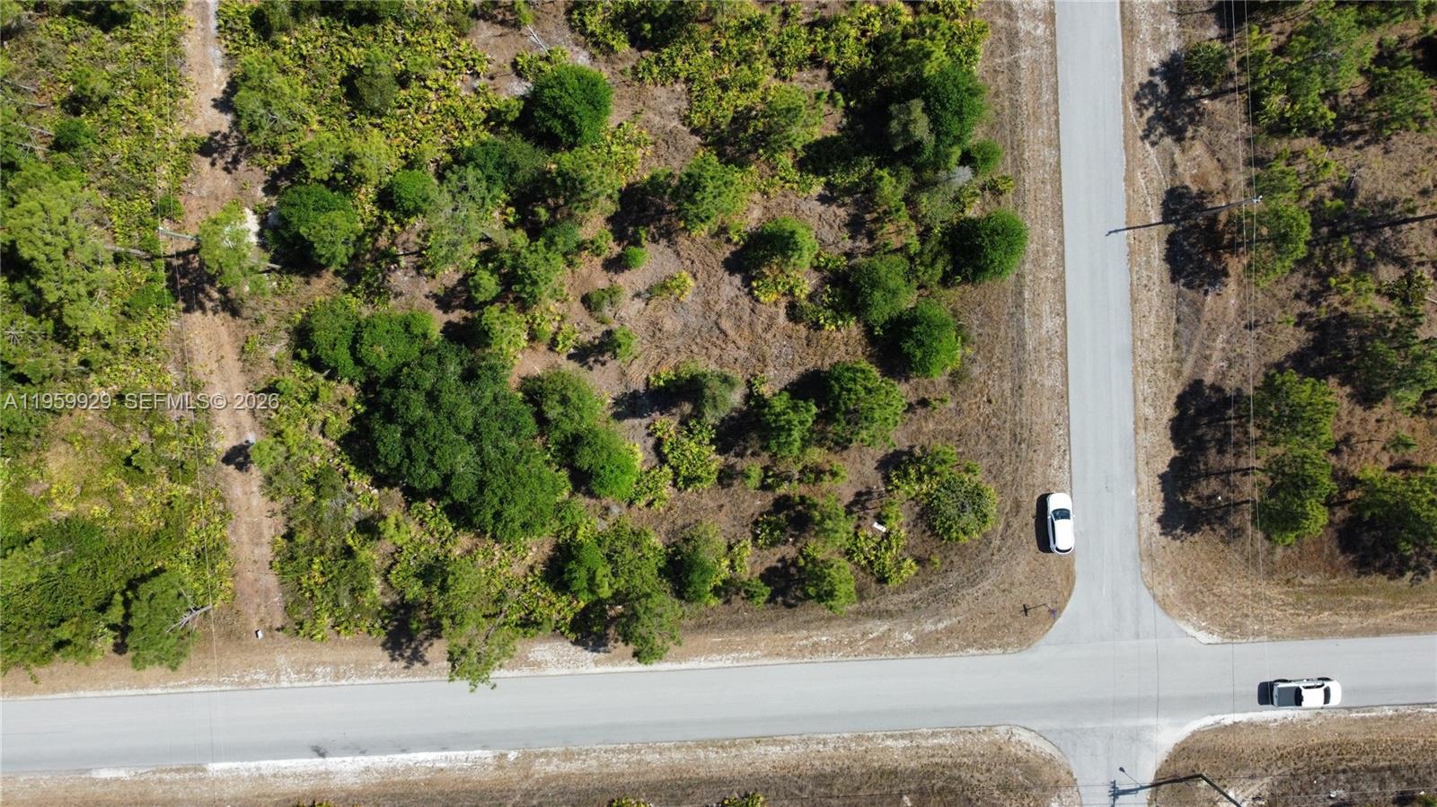 An aerial view shows a wooded lot bordered by two paved roads with two cars parked — 3007 E 10 St, Lehigh Acres FL 33972, LEHIGH ACRES, FL