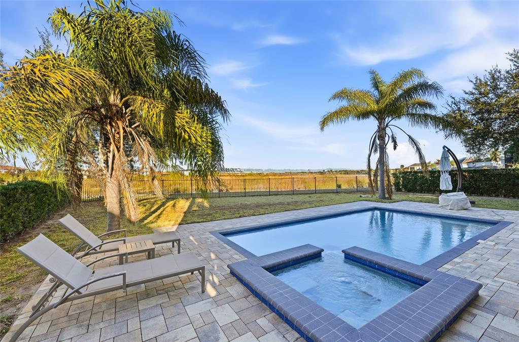 A backyard features a swimming pool, a spa, two lounge chairs, and two palm trees — 11545 BRICKYARD POND LANE, WINDERMERE, FL