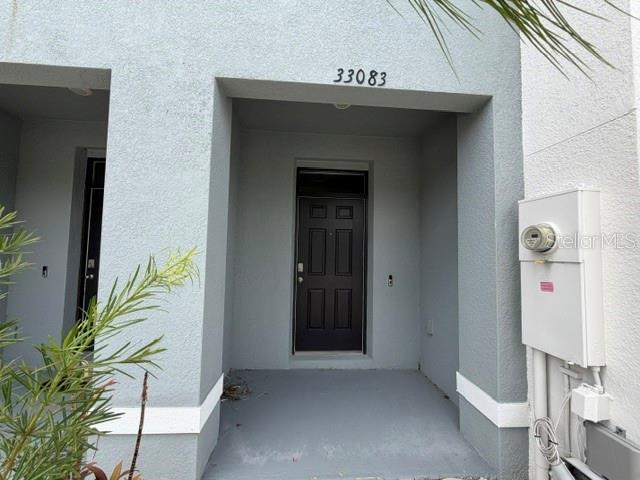 A gray exterior entryway features a dark front door and an adjacent electrical meter box — 33083 FROSTED CLOVER WAY, WESLEY CHAPEL, FL