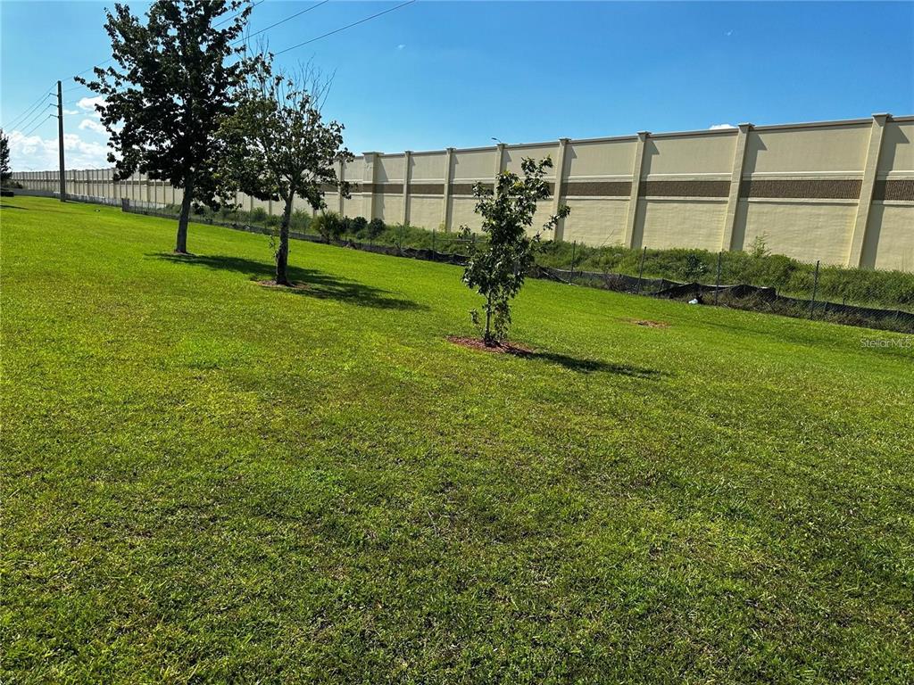 A grassy yard features three small trees in front of a tall concrete sound wall — 1969 CHATHAM PLACE DRIVE, ORLANDO, FL