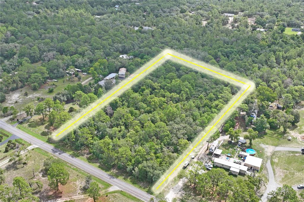 An aerial view shows a rectangular, wooded lot outlined in yellow next to a road — 6591 S CANNA LILY AVENUE, HOMOSASSA, FL