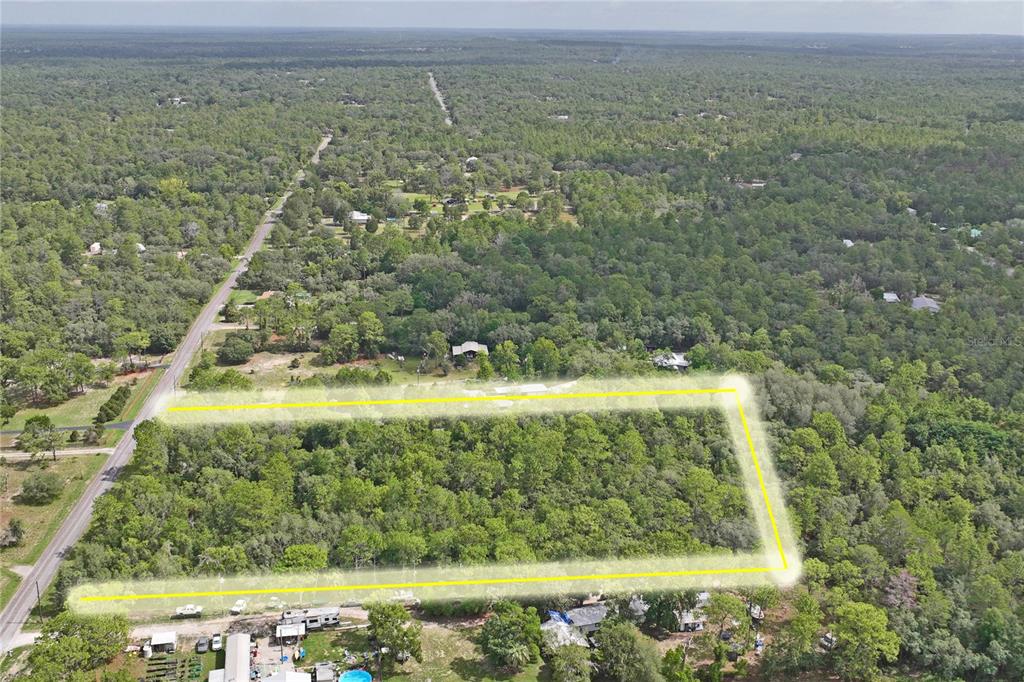 An aerial view shows a rectangular plot of land outlined in yellow amidst dense trees — 6591 S CANNA LILY AVENUE, HOMOSASSA, FL