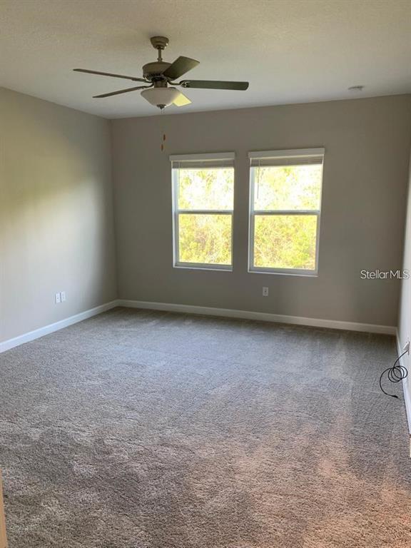 An empty bedroom features beige walls, gray carpeting, two windows, and a ceiling fan — 18843 NOBLE CASPIAN DRIVE, LUTZ, FL