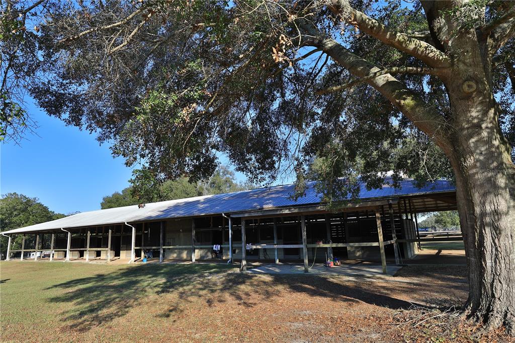 A long, single-story horse stable with a metal roof stands under a large oak tree — 7505 SW 73RD STREET, OCALA, FL