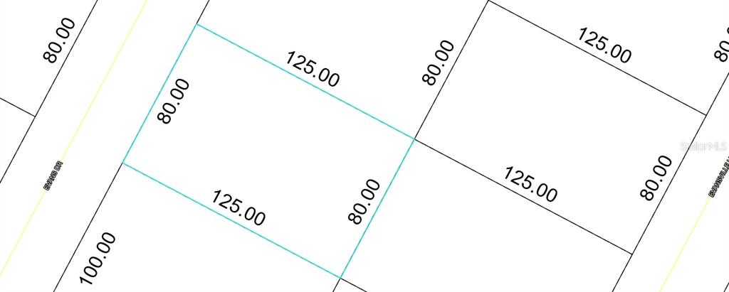 This is a land survey map showing the dimensions of two adjacent rectangular residential lots — 84 EVANS DRIVE, PALM COAST, FL