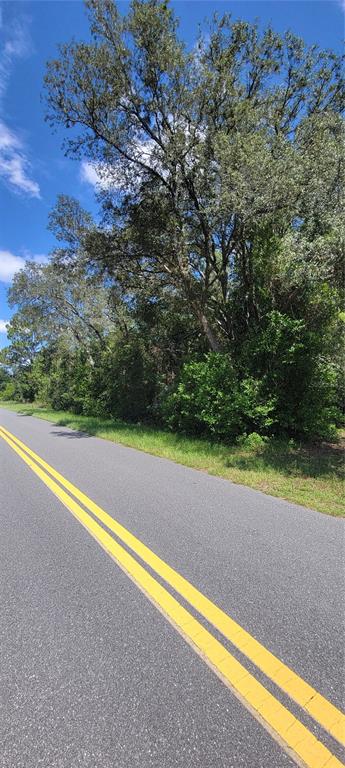 A paved road with double yellow lines runs alongside a wooded area with tall trees — 0 SW BEACH BOULEVARD, DUNNELLON, FL