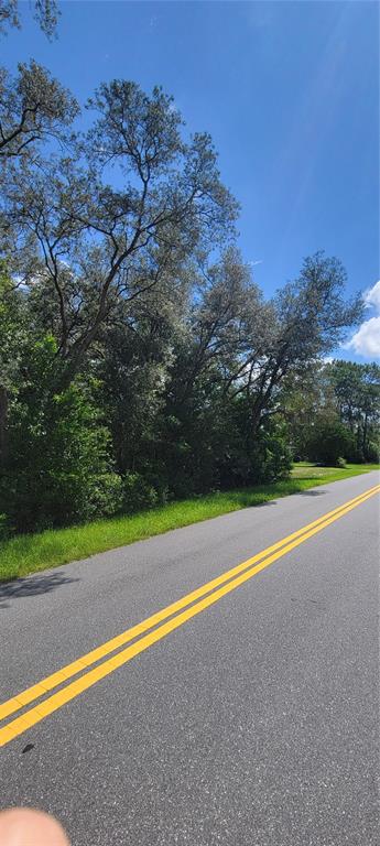 A paved road with double yellow lines runs alongside a line of tall, leafy trees — 0 SW BEACH BOULEVARD, DUNNELLON, FL