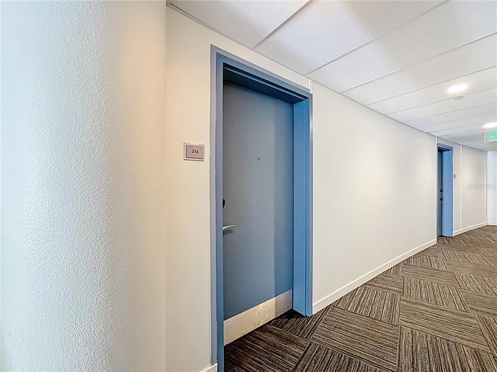 A hallway features a blue door labeled 316, white walls, and patterned carpet flooring — 225 CELEBRATION PLACE UNIT 316, KISSIMMEE, FL