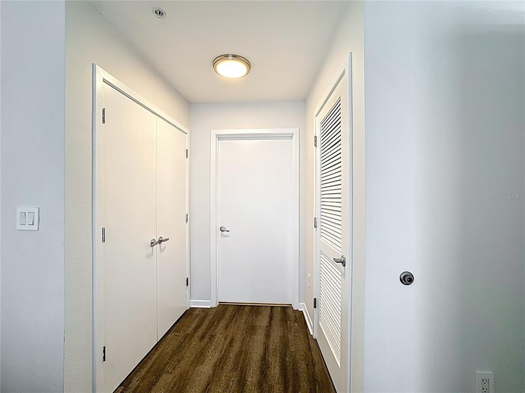 A hallway with wood-look flooring features three white doors and a ceiling-mounted light fixture — 225 CELEBRATION PLACE UNIT 316, KISSIMMEE, FL