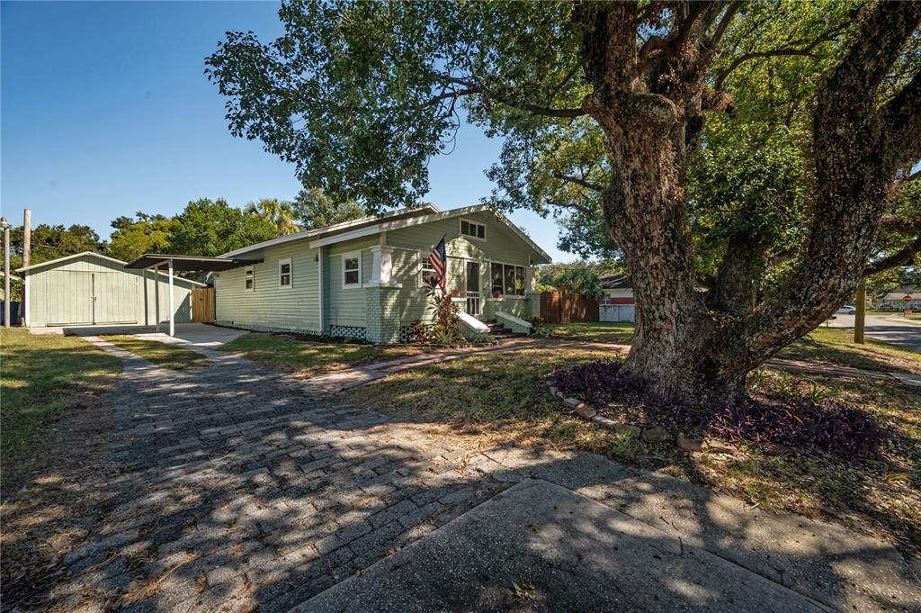 A light green house with a paved driveway, carport, and a large tree in front — 1404 E CAYUGA STREET, TAMPA, FL