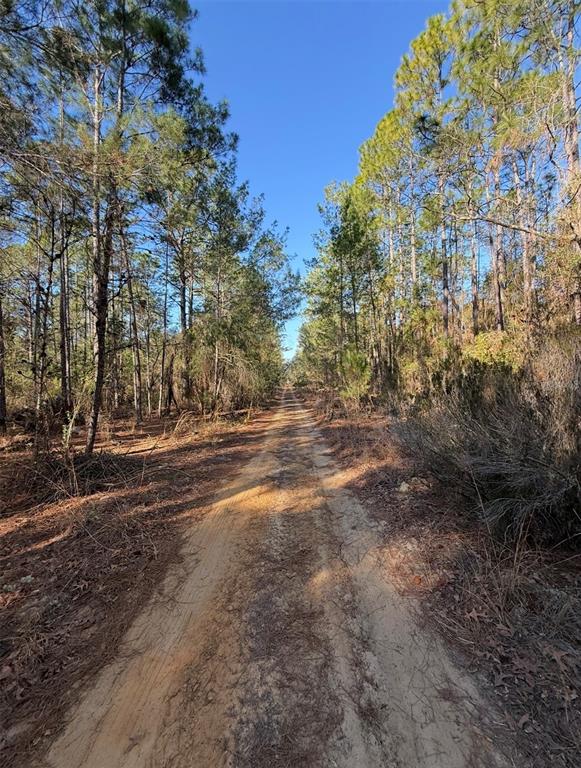TBT 5TH WAY, INTERLACHEN, FL — photo 4 of 12