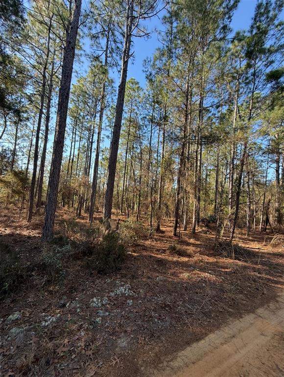 TBT 5TH WAY, INTERLACHEN, FL — photo 5 of 12