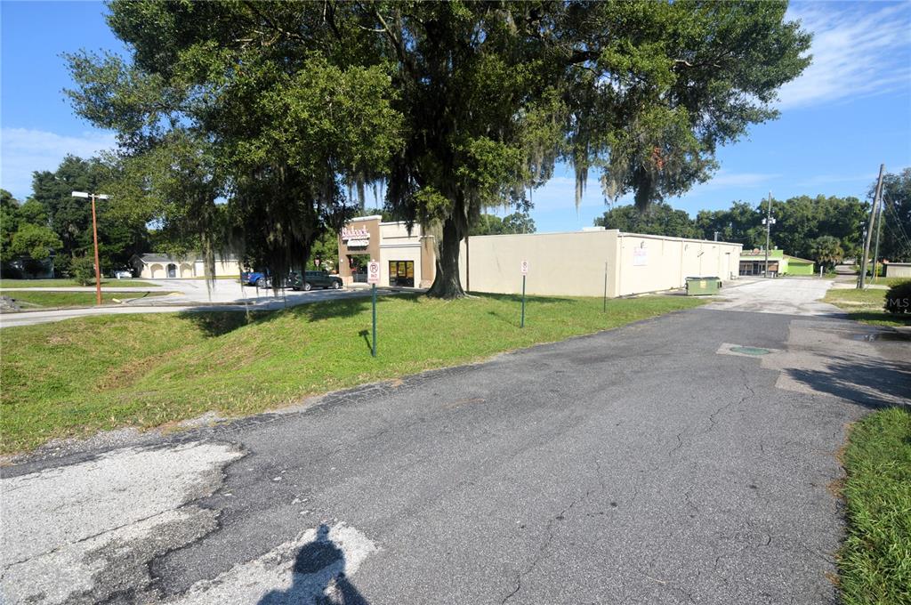 An exterior view of a commercial building with a large tree and paved driveway — 5500 6TH STREET, ZEPHYRHILLS, FL