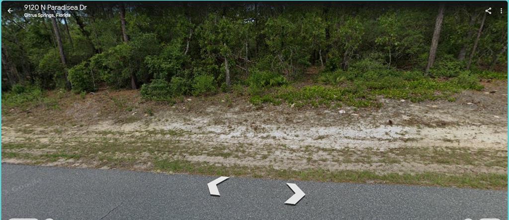 A vacant, wooded residential lot with sandy ground sits along a paved road — 9120 N PARADISEA DRIVE, CITRUS SPRINGS, FL