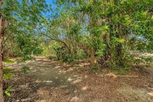 A dirt path leads into a wooded area with dense trees and foliage — 7822 WILMAR COURT, PORT RICHEY, FL