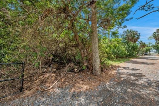A gravel road runs alongside a dense, overgrown wooded area with a black metal fence — 7822 WILMAR COURT, PORT RICHEY, FL