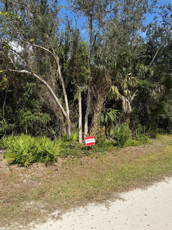 A wooded, undeveloped lot with a small red sign sits beside a sandy road — 29185 CYBELE STREET, PUNTA GORDA, FL
