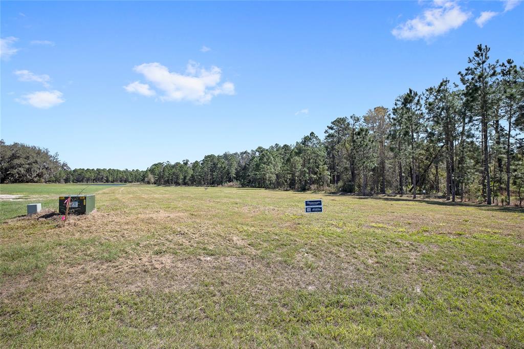 A large, flat, grassy vacant lot bordered by a line of tall pine trees — 20280 SHORELINE RANCH LANE, UMATILLA, FL