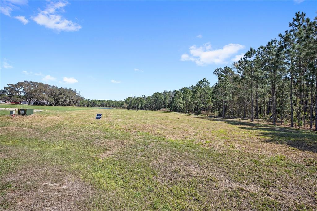A large, grassy vacant lot bordered by a dense line of pine trees — 20280 SHORELINE RANCH LANE, UMATILLA, FL