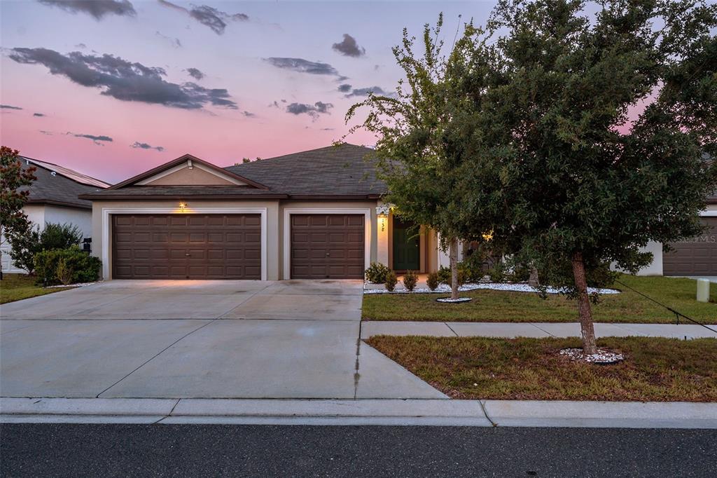 A single-story house features a two-car garage, a green front door, and a large tree — 138 RAIN BERRY AVENUE, RUSKIN, FL